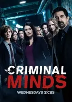 Esprits criminels - Saison 13 - vostfr