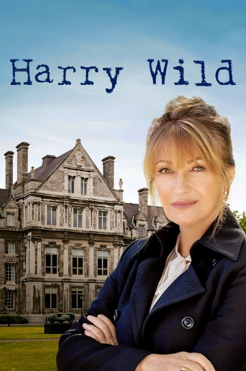 Harry Wild - Saison 3 - VF HD