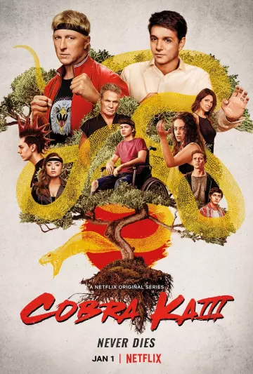 Cobra Kai - Saison 3 - vostfr