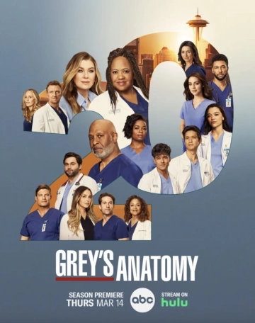 Grey's Anatomy - Saison 20 - VF