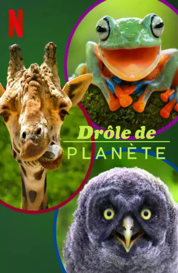 Drôle de planète - Saison 1 - vostfr